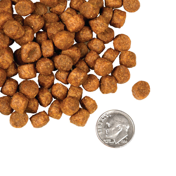 Fromm Four Star Game Bird Grain Free Recipe Dry Dog Food