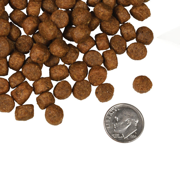 Fromm Four Star Salmon Tunalini Grain Free Recipe Dry Dog Food