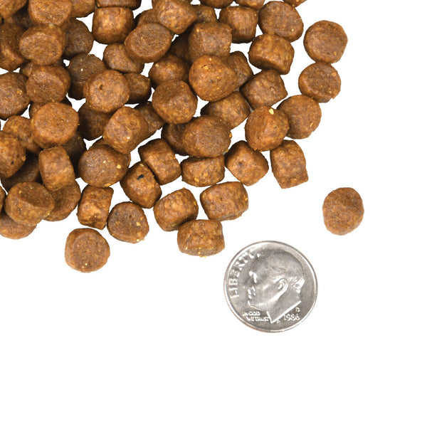 Fromm Four Star Surf & Turf Grain Free Recipe Dry Dog Food