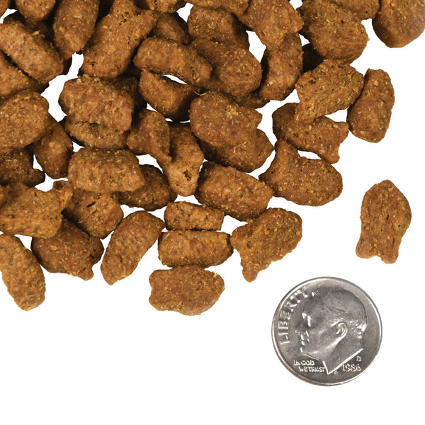 Fromm Four Star Trout & Whitefish Grain Inclusive Recipe Dry Dog Food