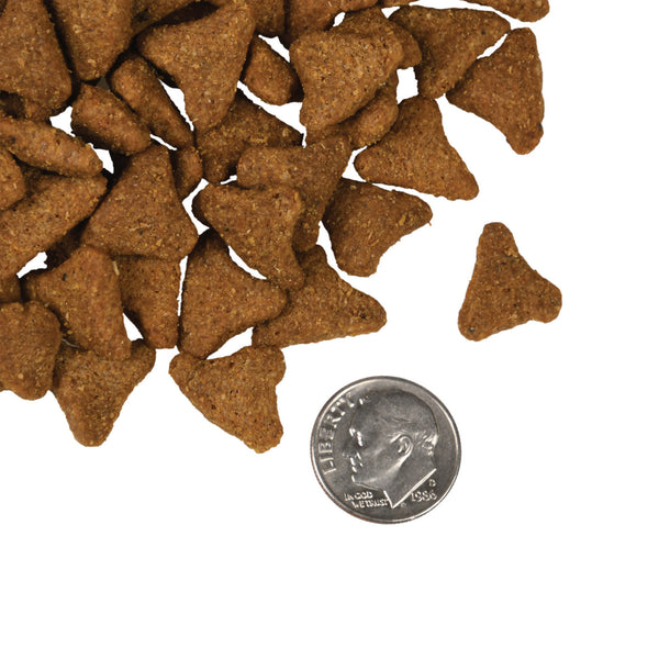 Fromm Four Star Whitefish & Potato Grain Inclusive Recipe Dry Dog Food