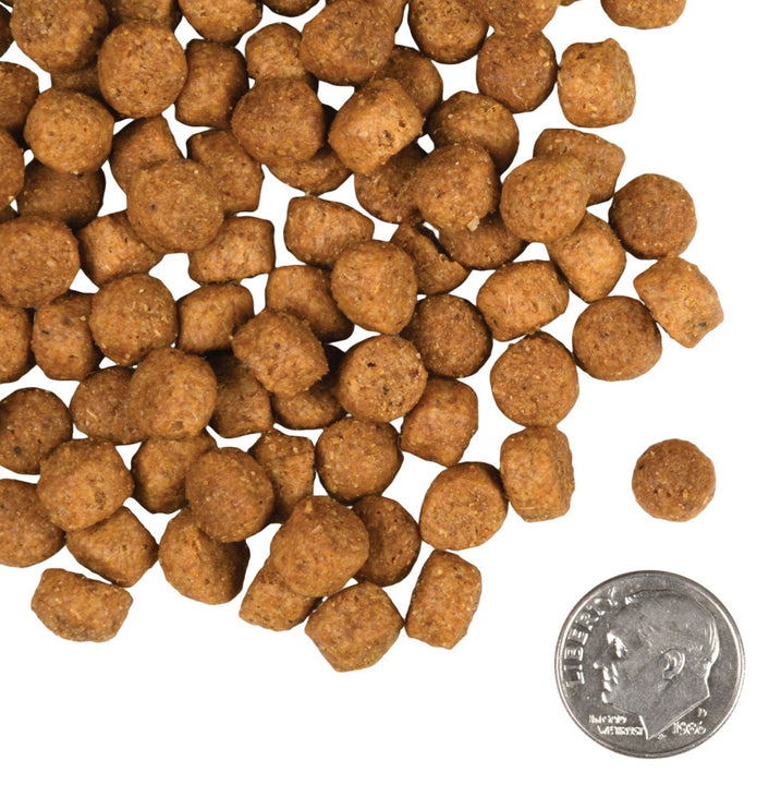 Fromm large breed puppy food feeding guide online