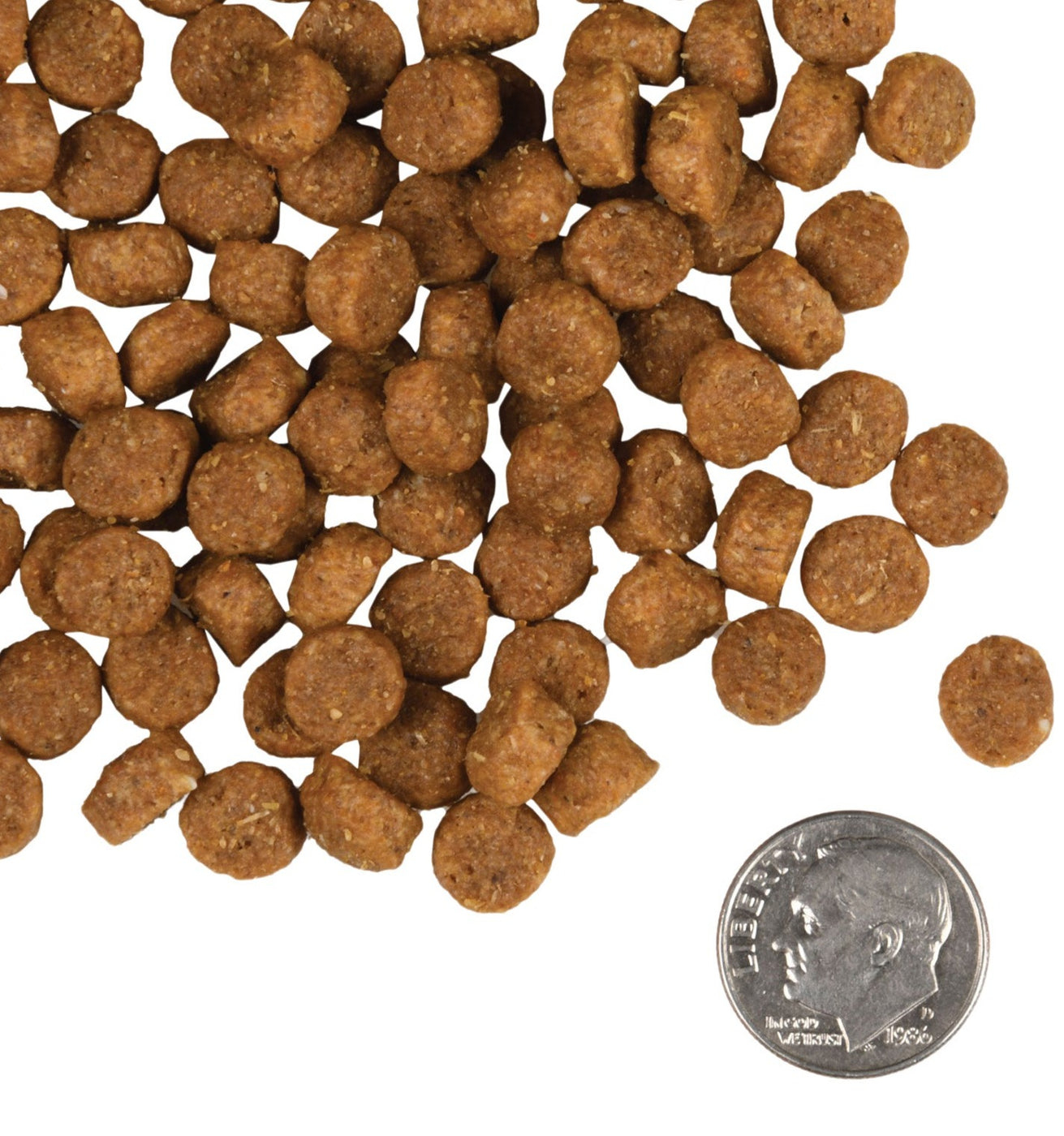 Fromm Puppy Gold Dry Dog Food Only Natural Pet