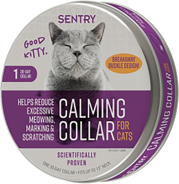 View of Natural Stress & Anxiety Relief for Cats | Only Natural Pet