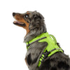 Arcadia Trail Yellow Neoprene Sport Harness for Dogs
