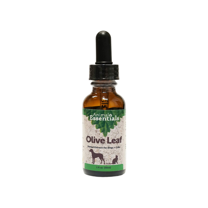 Animal Essentials Olive Leaf Herbal Extract Liquid for Dogs & Cats Bottle