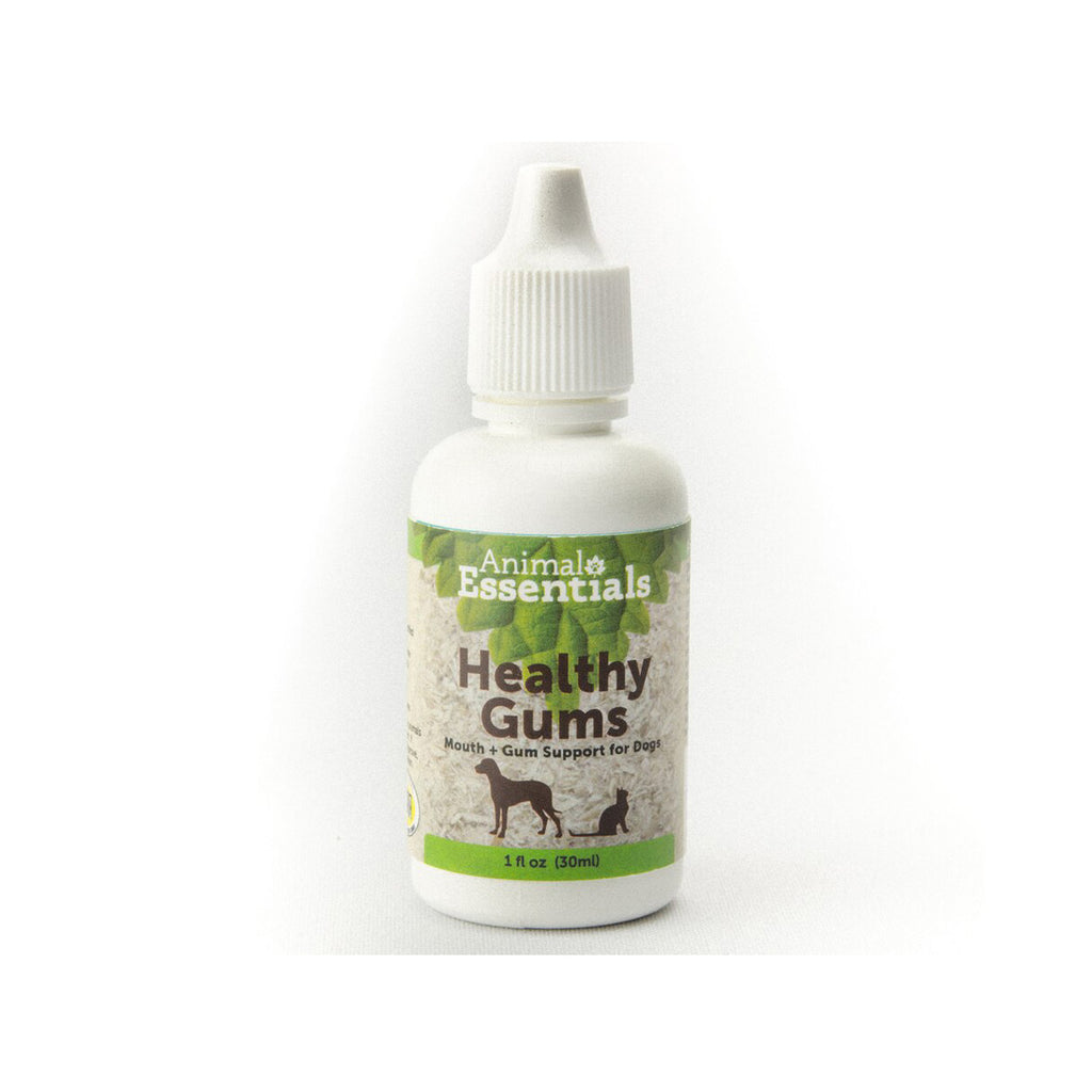 Animal Essentials Healthy Gums & Mouth Support Liquid for Dogs Only