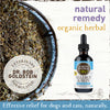Earth Animal Organic Herbal Remedies Allergy & Skin Tincture for Dogs