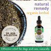 Earth Animal Organic Herbal Remedies Clean Mouth, Gums & Breath Tincture for Dogs