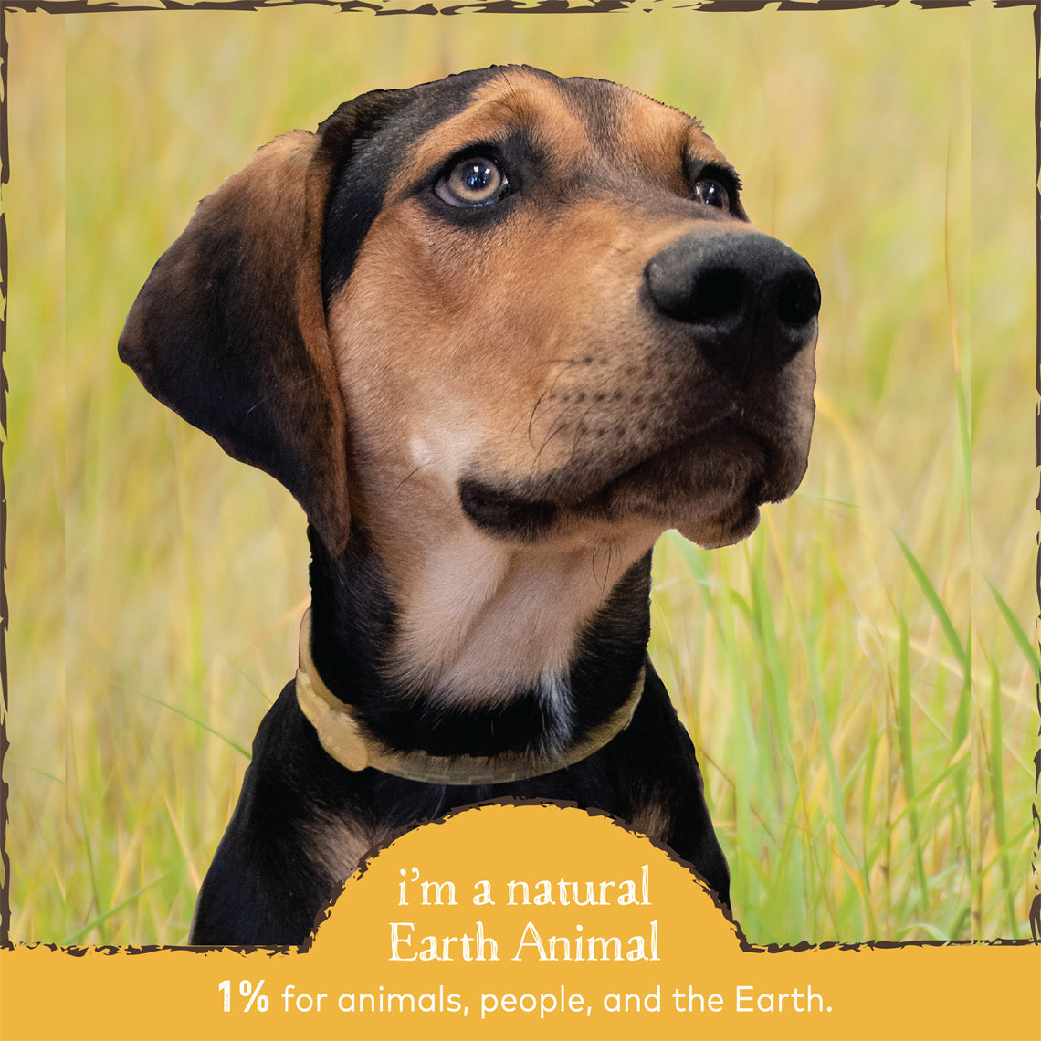 Earth Animal Nature s Protection Flea Tick Collar for Dogs Only Natural Pet