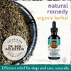 Earth Animal Organic Herbal Remedies Cough, Wheeze & Sneeze Tincture for Dogs