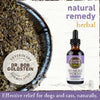 Earth Animal Organic Herbal Remedies No More Worms Tincture for Dogs