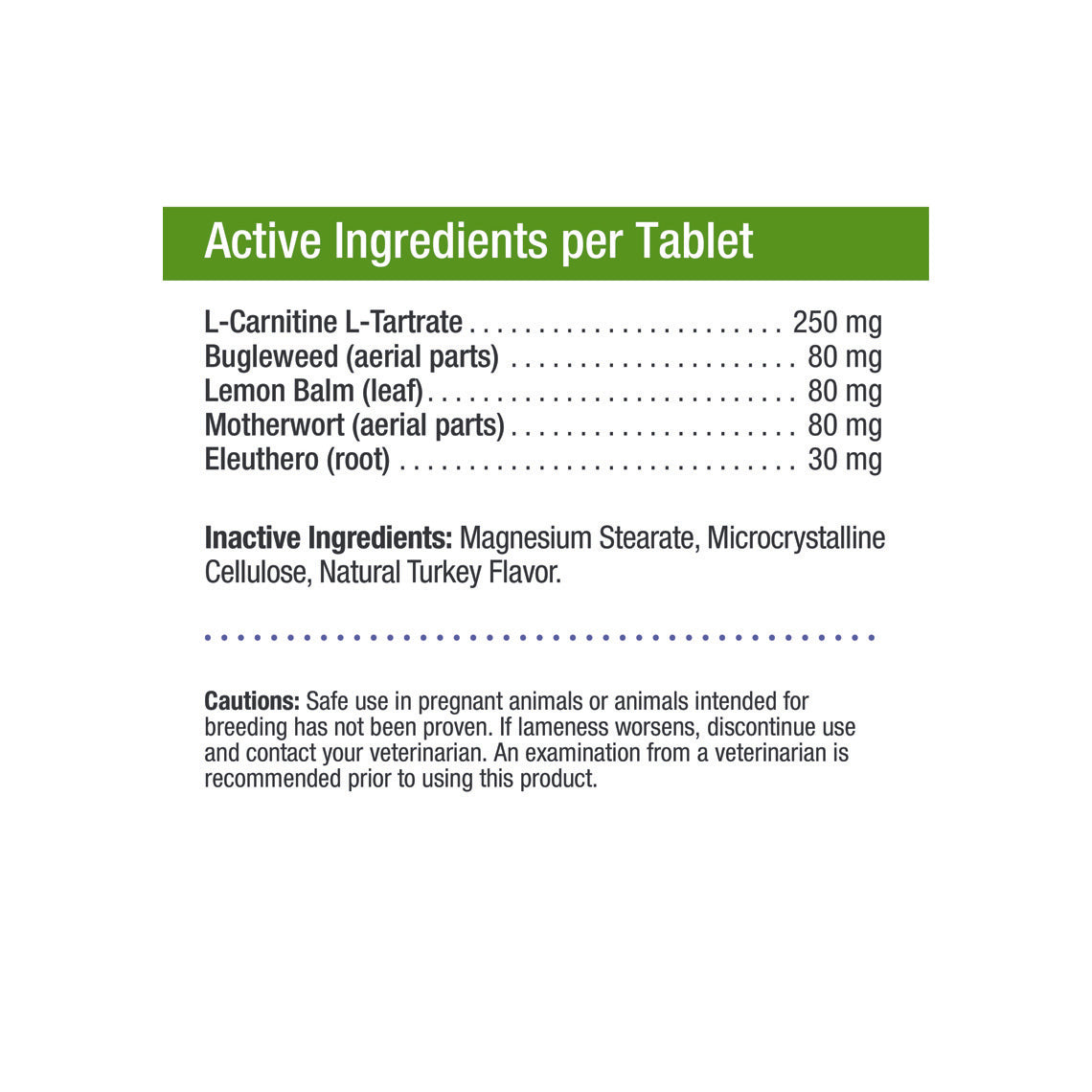 Thyroid Supplement with L-Carnitine for Cats | Only Natural Pet Thyroid Supplement with L-Carnitine for Cats | Only Natural Pet