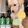 dog with other products