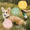 Kin + Kind Flea & Tick Protect Spray for Dogs & Cats
