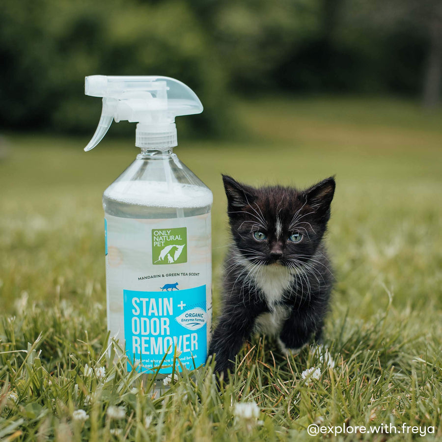 Cat Stain & Odor Remover Spray Only Natural Pet