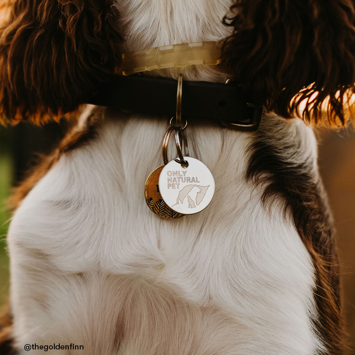 Easy Defense Flea Tick Tag for Dogs Cats Only Natural Pet