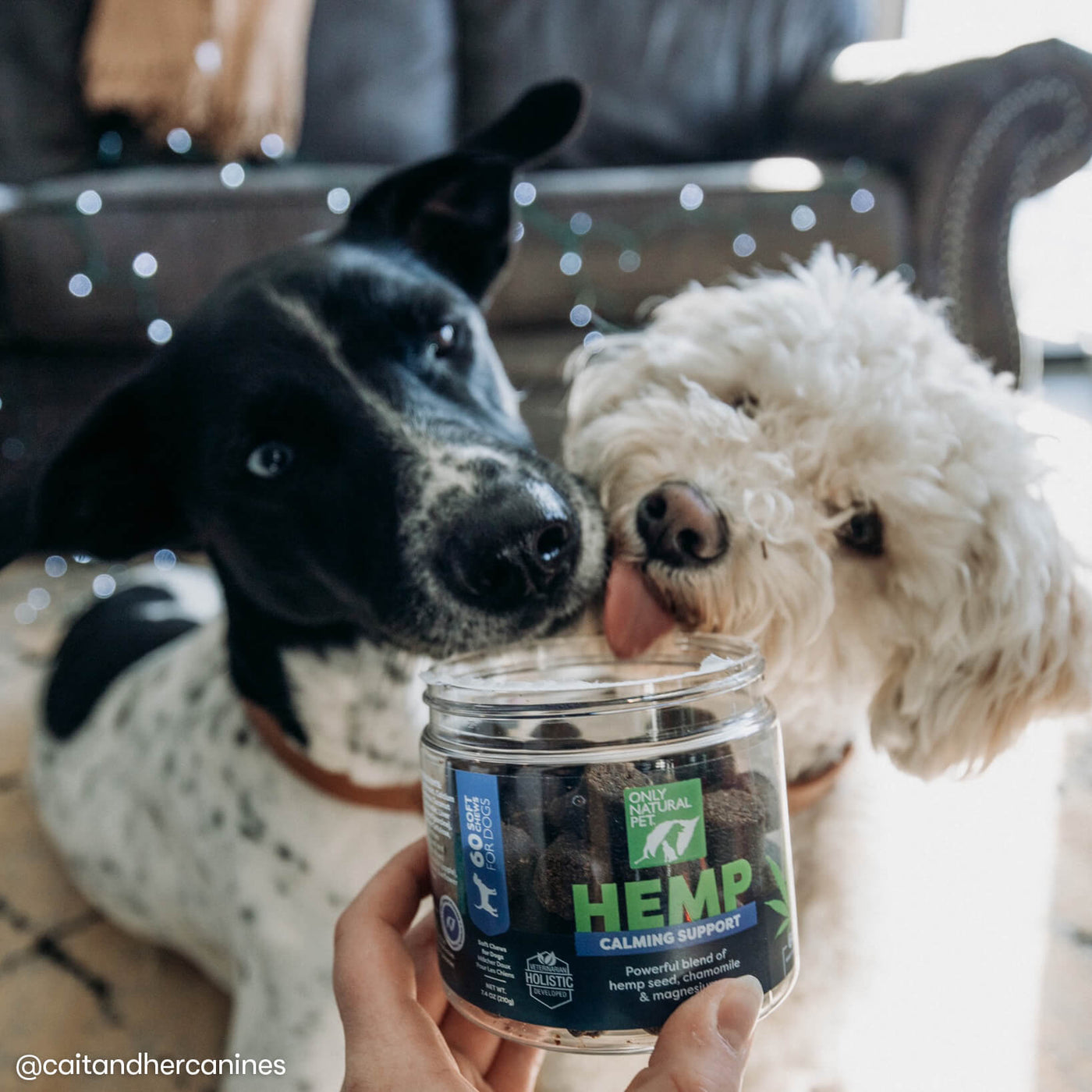 Hemp Calming Chews for Dogs Only Natural Pet