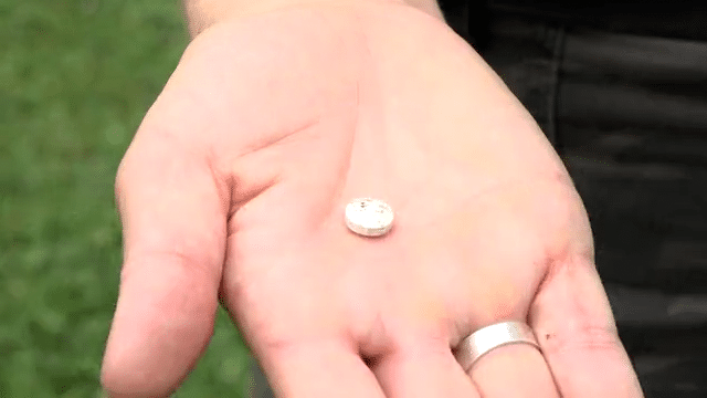 Top 6 Best Flea Pills For Dogs In 2018 (based On Safety And Efficacy - Foto 6