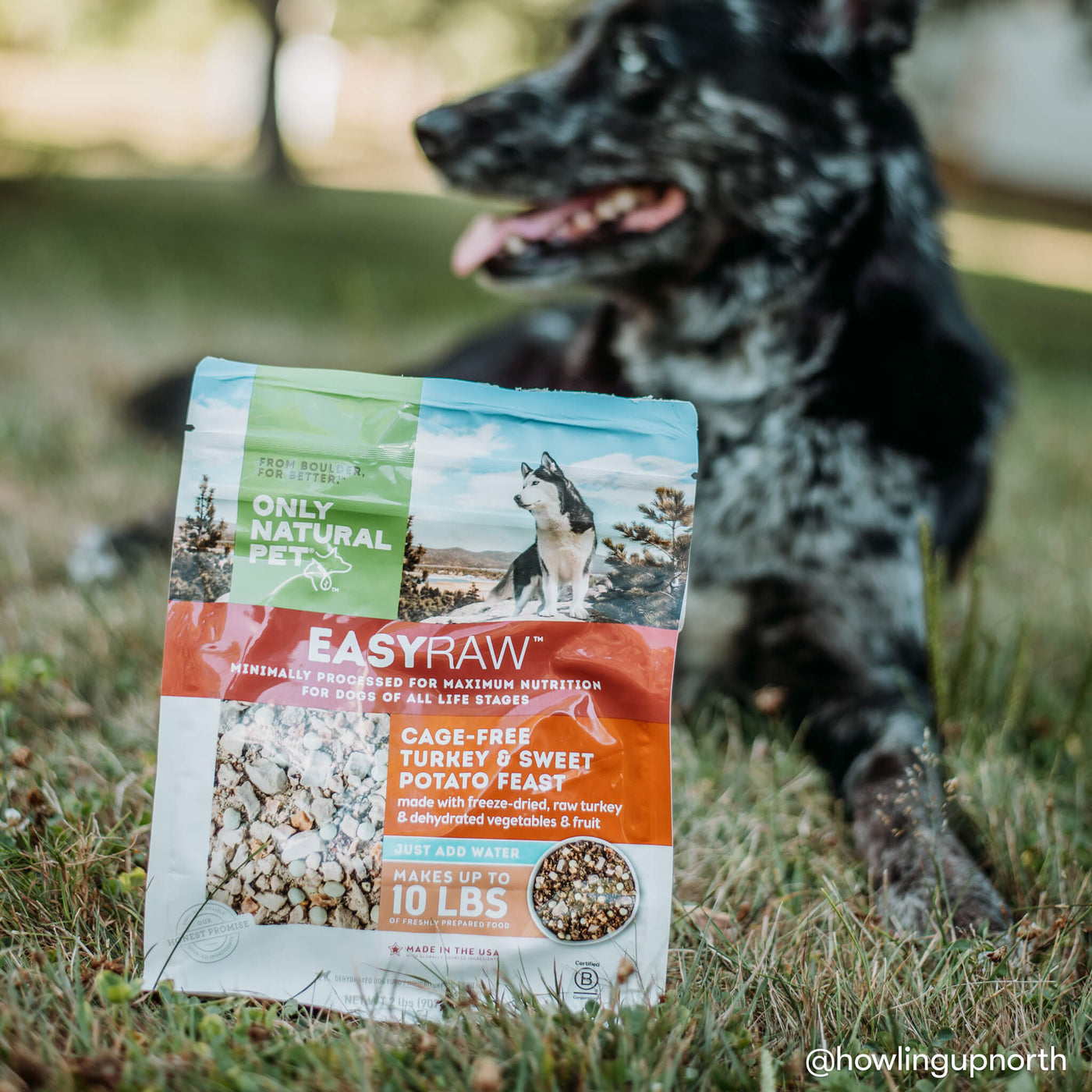 EasyRaw Cage-Free Turkey Dehydrated Dog Food