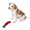 Only Natural Pet Eco-Friendly Regenerated Cotton Carrot Dog Toy Lifestyle Image
