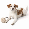 Only Natural Pet Eco-Friendly Regenerated Cotton Ball & Rope Dog Toy Lifestyle Image