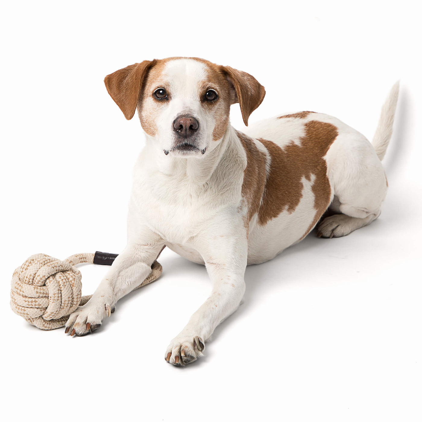 Only Natural Pet Eco Friendly Regenerated Cotton Ball Rope Dog