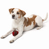Only Natural Pet Eco-Friendly Regenerated Cotton Ball Dog Toy