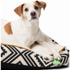 Only Natural Pet Organic Sherpa Pet Beds Lifestyle Image