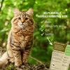 Pet Naturals of Vermont Hairball Soft Chews Infographic