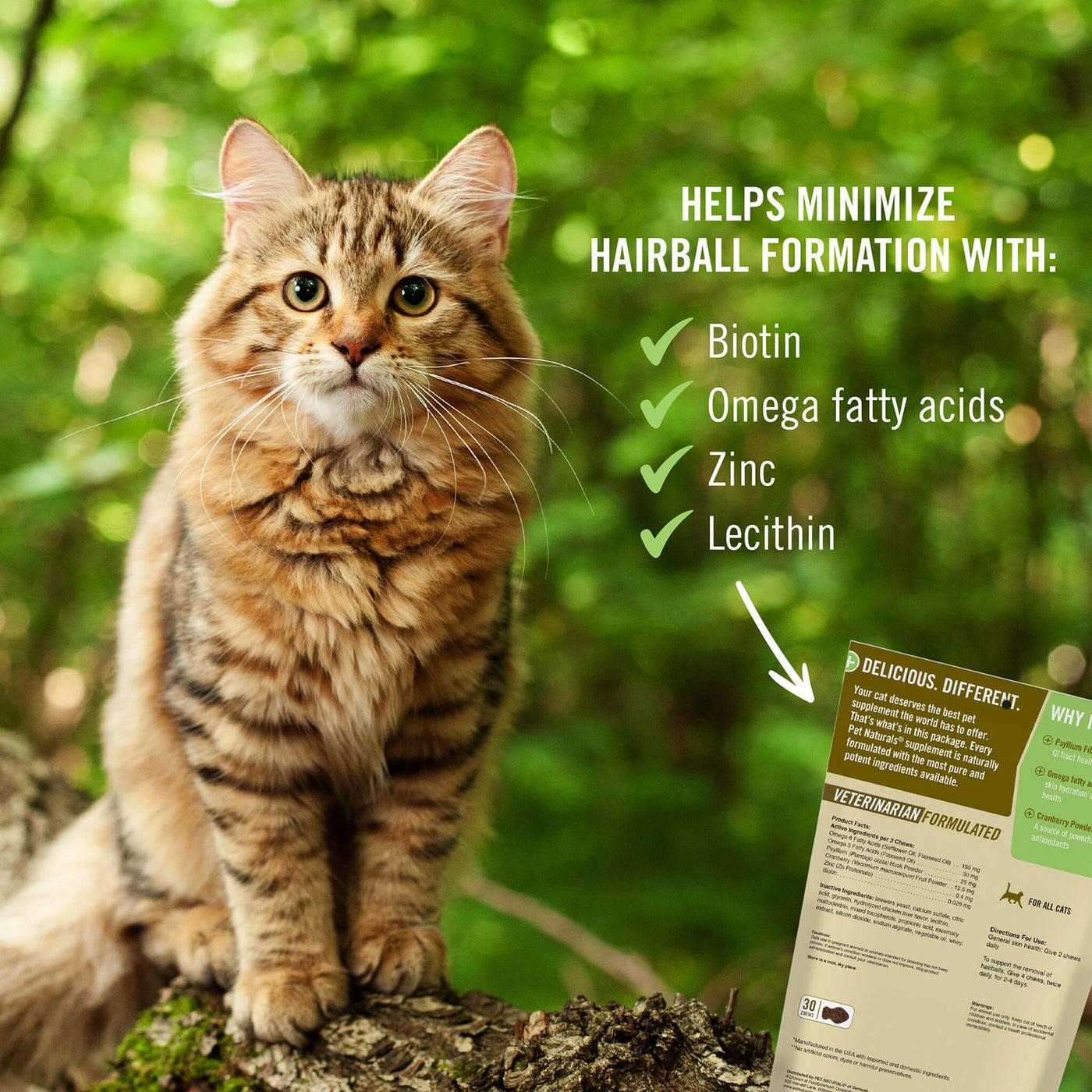 Essential pet hairball soft chews 2025