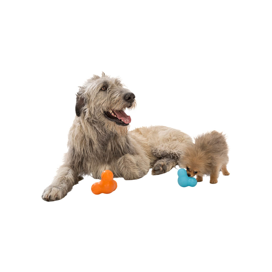 Zogoflex Echo Dog Toys, Fun Dog Toys