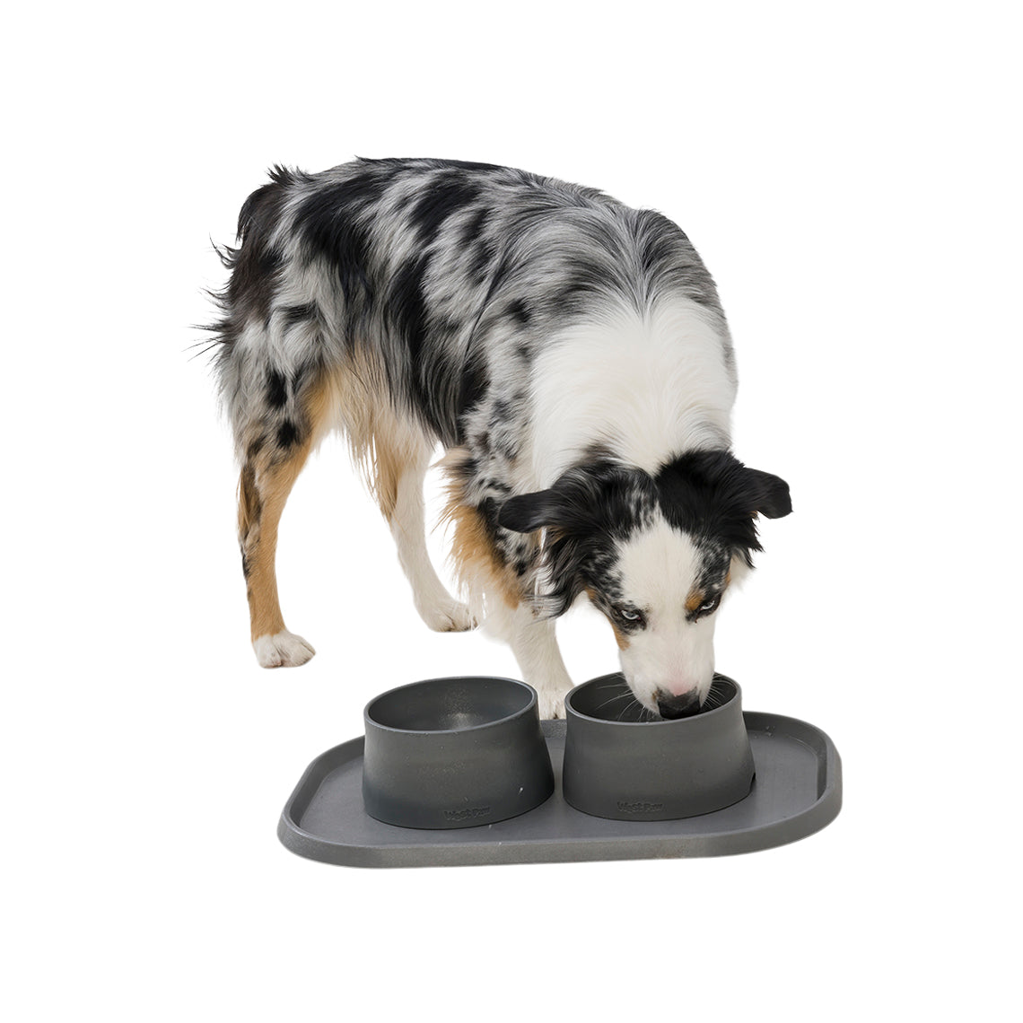 Pet Feeding Mats - Dog Bone – Paw Lifestyles Brand - Dog Products